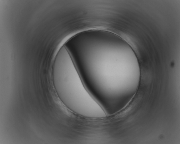 X0000093380956200710111345