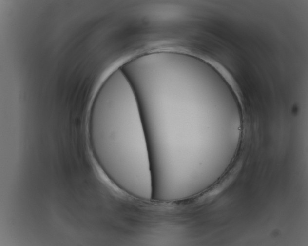 X0000093380957200710111345