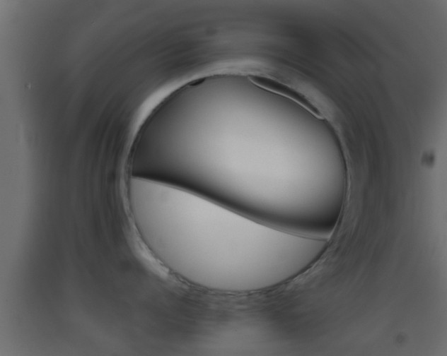 X0000093380960200710111345