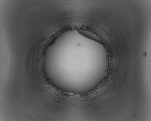 X0000093380961200710111344
