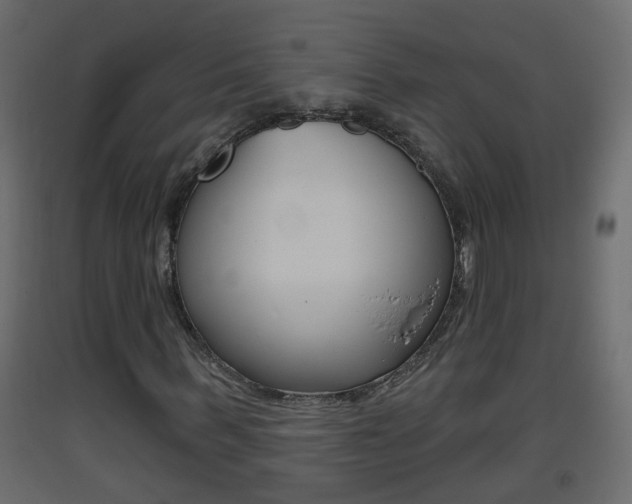 X0000093380963200710111344