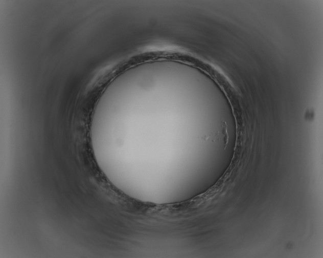 X0000093380967200710111344