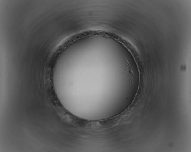 X0000093380968200710111344