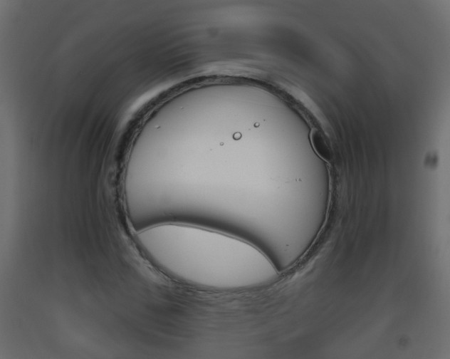 X0000093380971200710111344