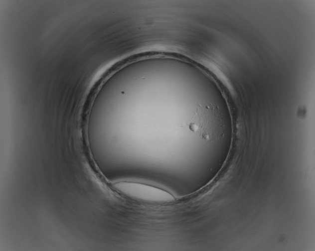 X0000093380972200710111344