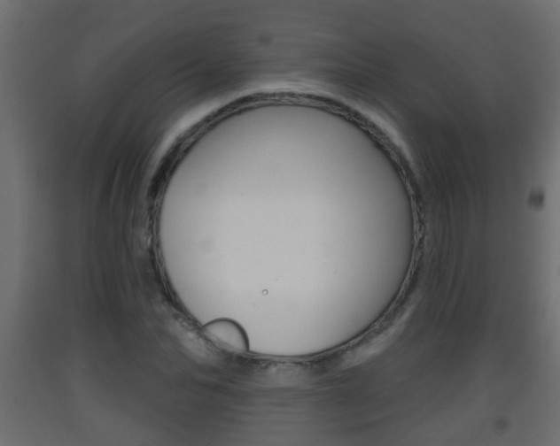 X0000093380974200710111344