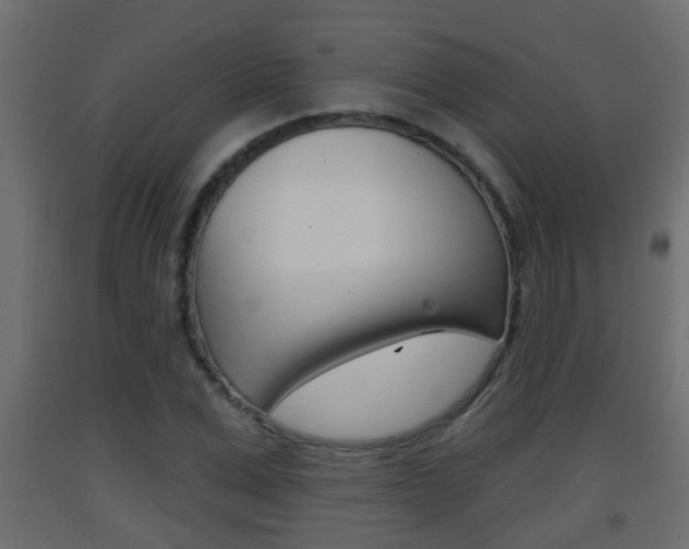 X0000093380975200710111344