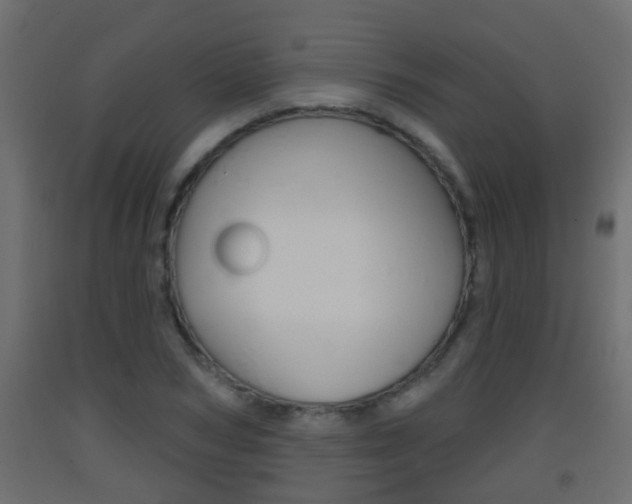 X0000093380978200710111344