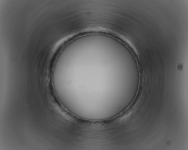 X0000093380979200710111344