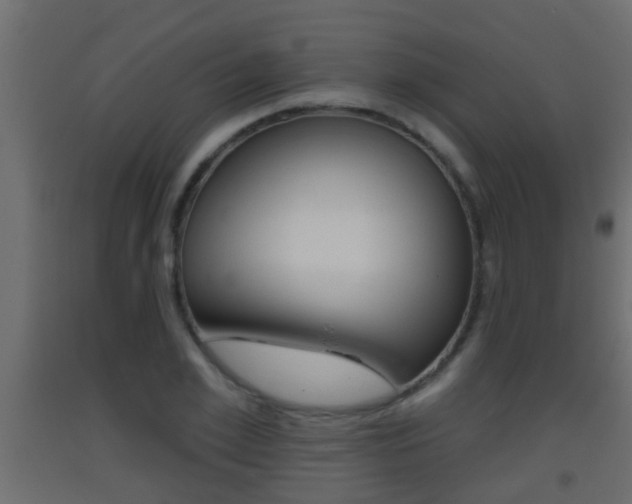 X0000093380981200710111344