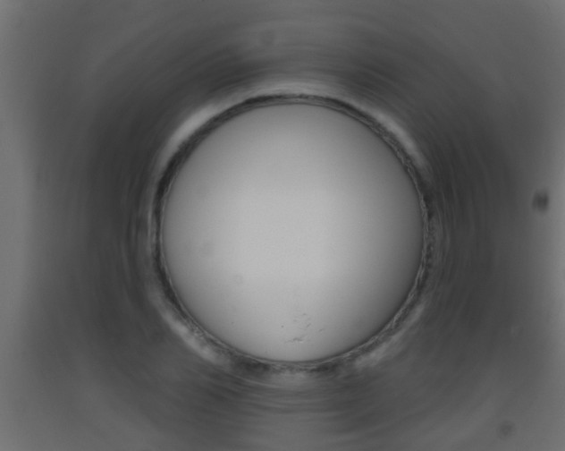 X0000093380982200710111344