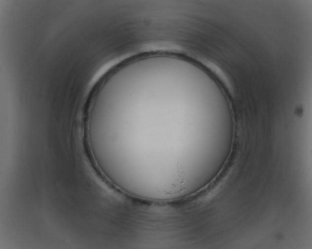 X0000093380983200710111344