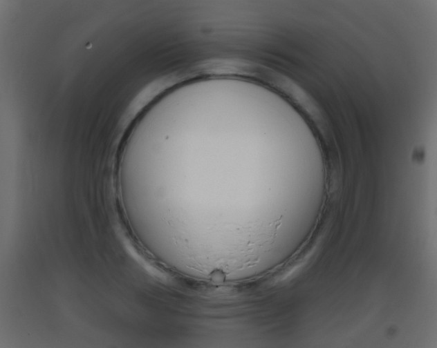 X0000093380986200710111344
