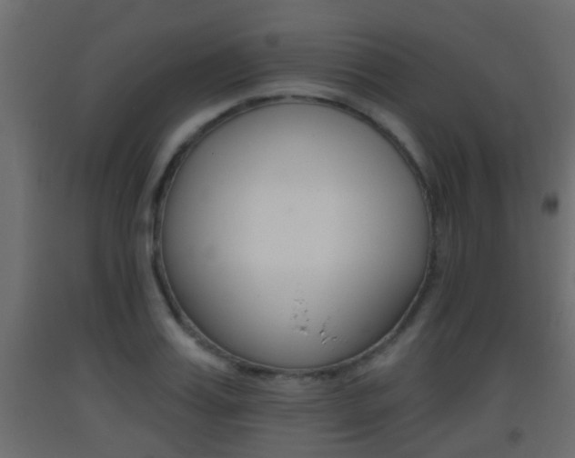 X0000093380987200710111344