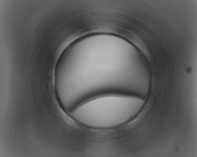 X0000093380988200710111344
