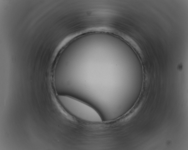 X0000093380989200710111344