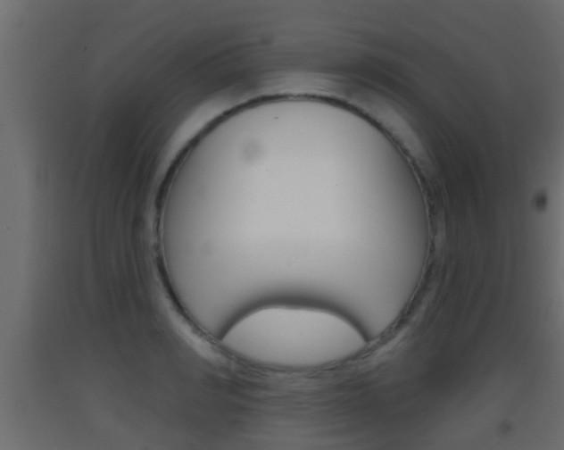X0000093380990200710111344