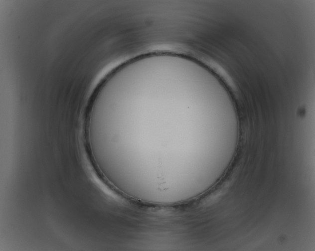X0000093380991200710111344