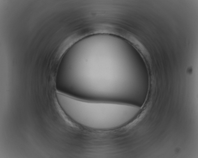 X0000093380993200710111344
