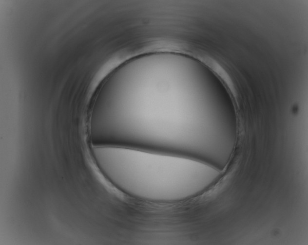 X0000093380997200710111344
