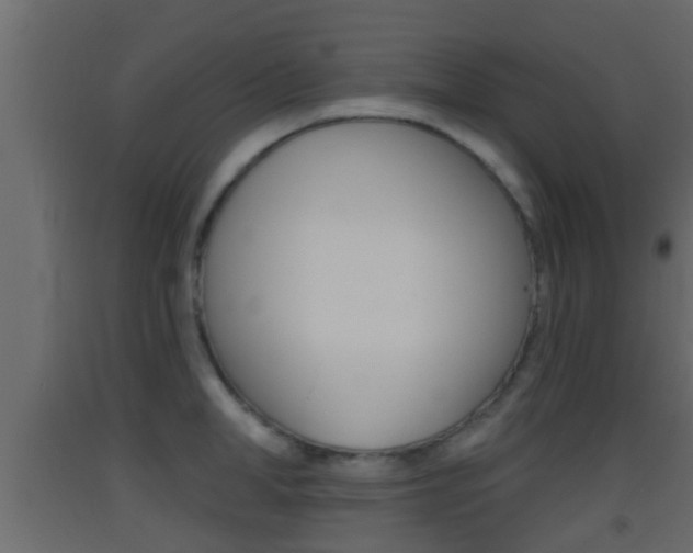 X0000093380998200710111344