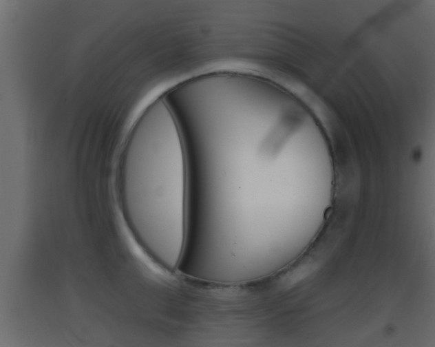 X0000093380999200710111344