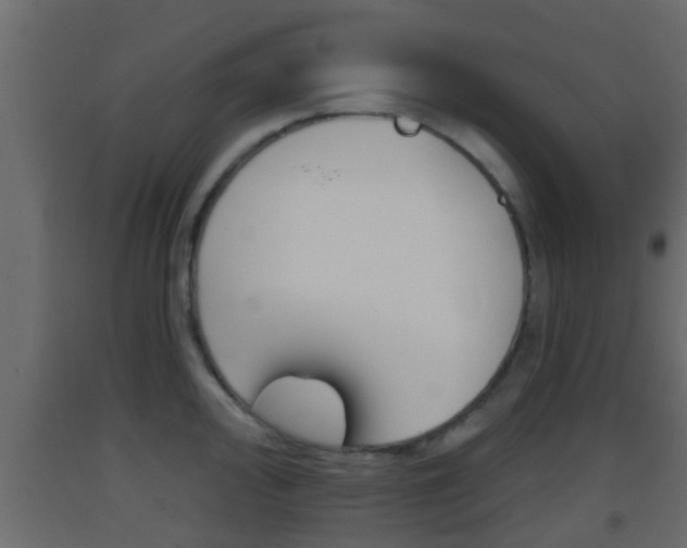 X0000093381000200710111344