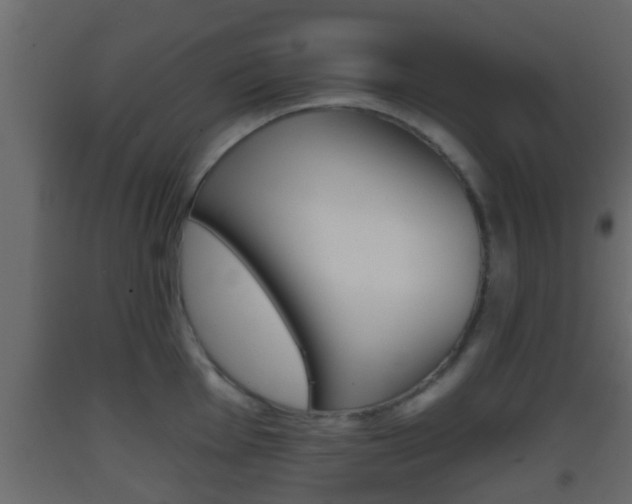 X0000093381001200710111344