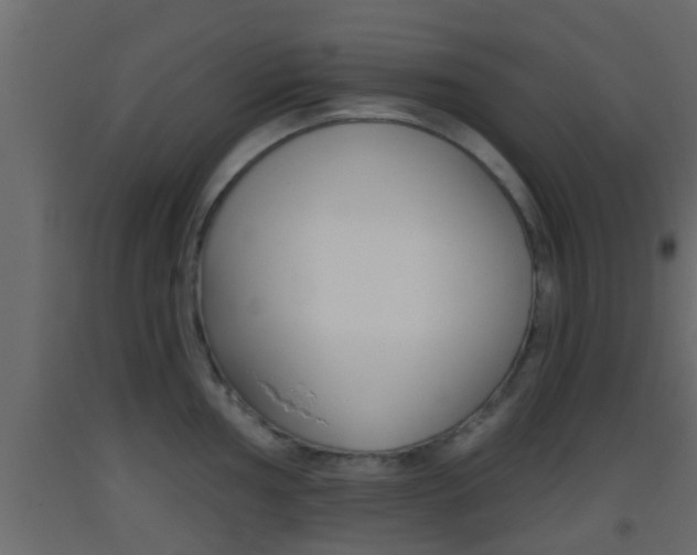 X0000093381002200710111344