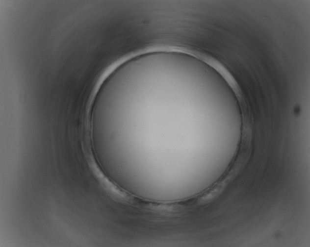 X0000093381004200710111343