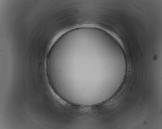 X0000093381006200710111343
