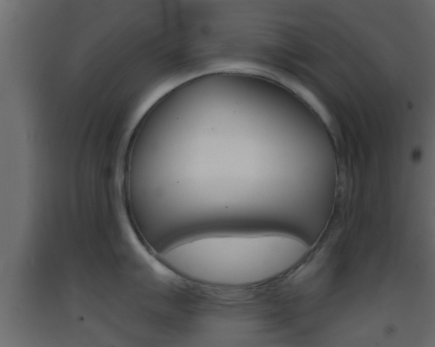 X0000093381007200710111343
