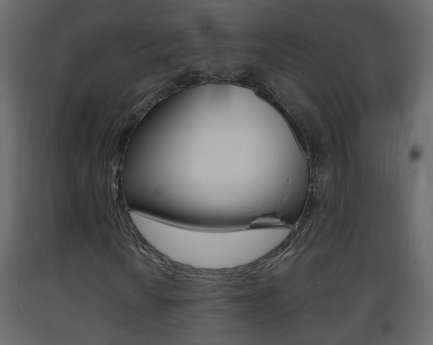 X0000093381010200710111343