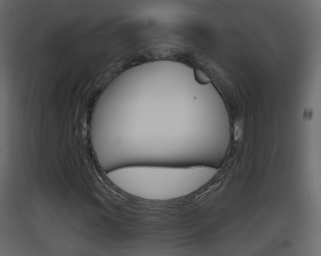 X0000093381011200710111343