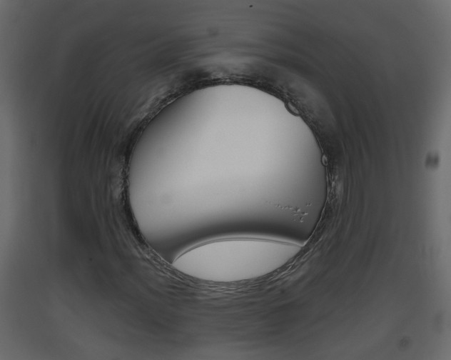 X0000093381012200710111343