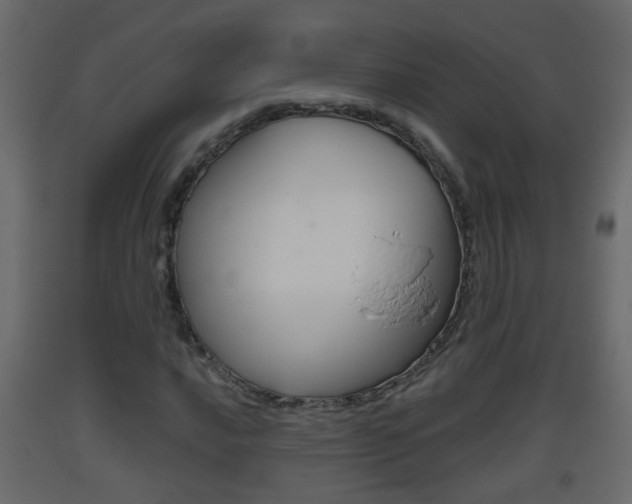 X0000093381016200710111343