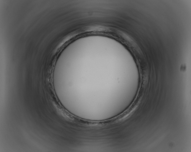 X0000093381017200710111343