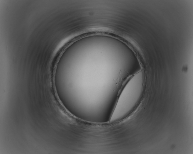 X0000093381022200710111343