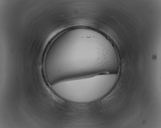 X0000093381024200710111343
