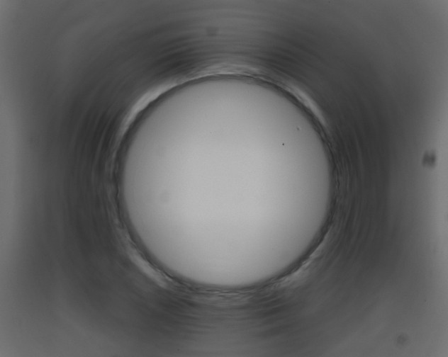 X0000093381026200710111343