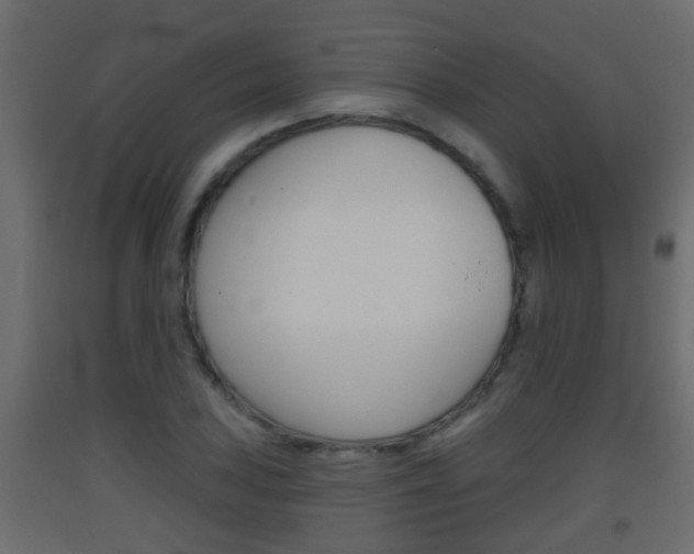 X0000093381027200710111343