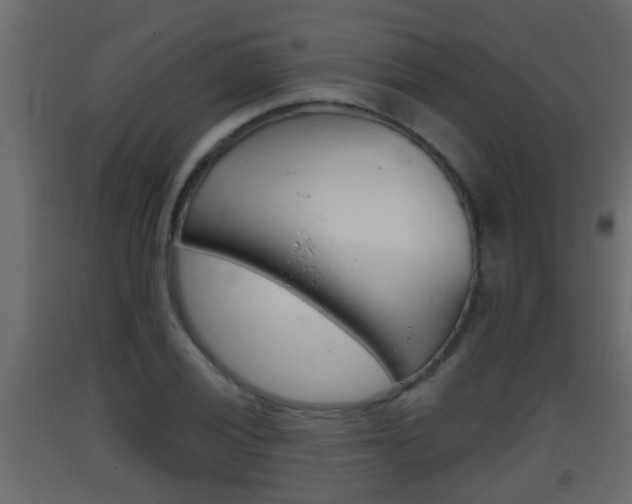 X0000093381028200710111343