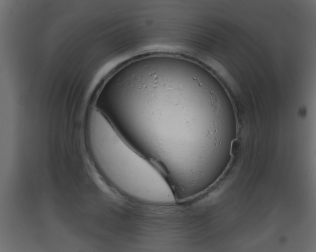 X0000093381030200710111343