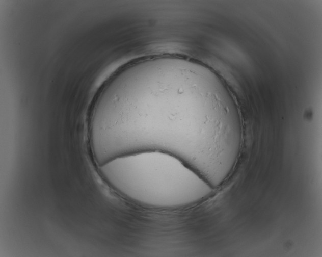 X0000093381031200710111343