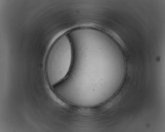 X0000093381036200710111343