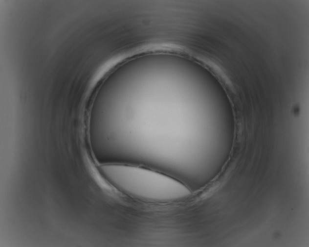 X0000093381038200710111343