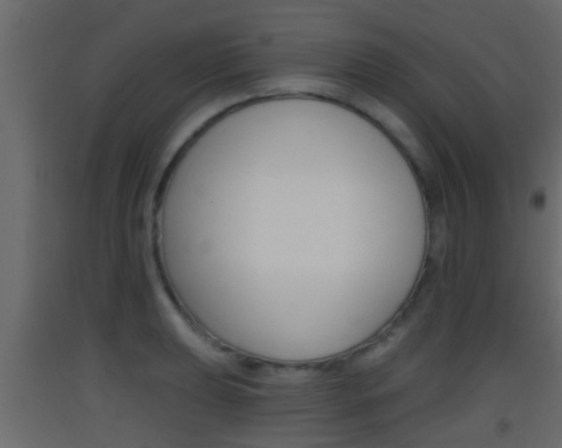 X0000093381039200710111343