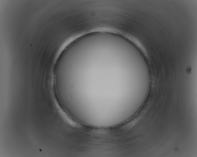 X0000093381040200710111343