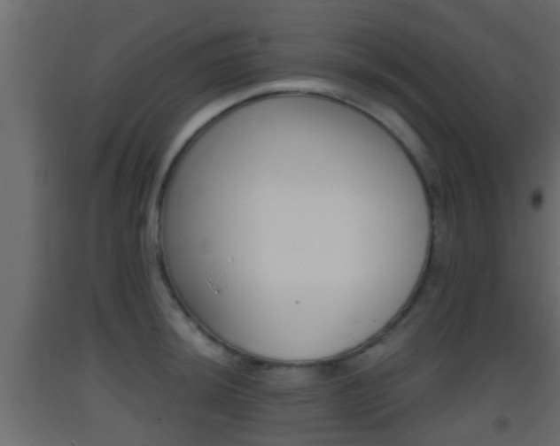 X0000093381044200710111343