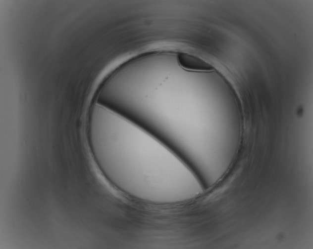 X0000093381045200710111343